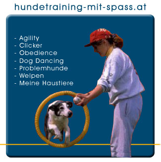 hundetraining-mit-spass.at